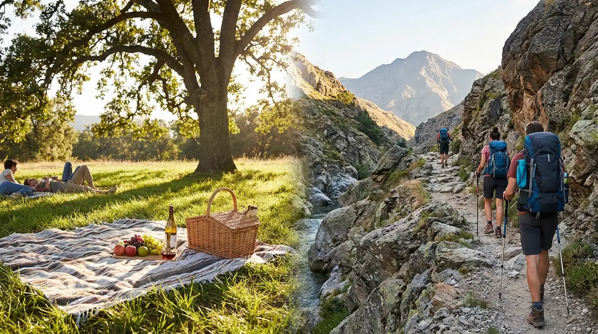 【結論】ピクニックとハイキングの違いを一言で解説